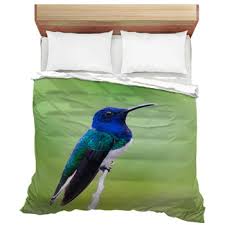 Hummingbird Comforters Duvets Sheets