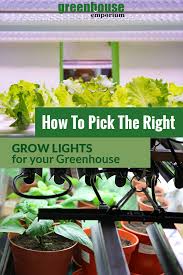 Grow Lights For Your Greenhouse
