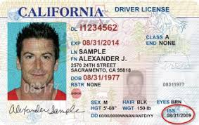 how to check a driver s license and ids
