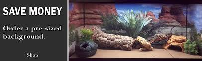 Aquariums And Reptile Enclosures