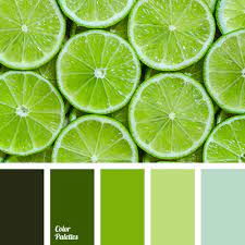 Color Of Avocado Color Palette Ideas