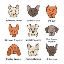 dogs breeds color icons set yorkshire