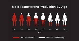 what are normal testosterone levels in