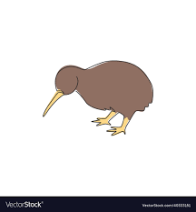 cute kiwi vector image