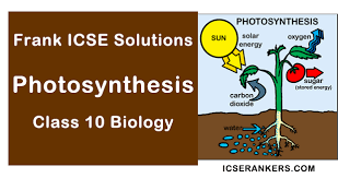 Icse Solutions Class 10 Biology