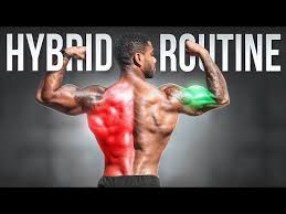 complete hybrid back workout for growth