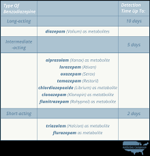 How Long Do Benzodiazepines Stay In Your System Detection Time
