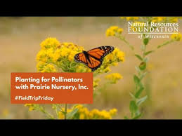 Pollinators With Prairie Nursery Inc