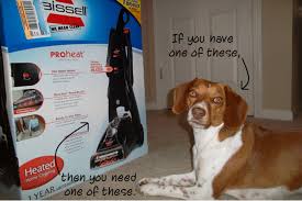 bissell proheat is a must have carpet