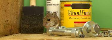 How To Get Rid Of Mice In Your Garage