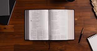 Did you know that many of those books can be read in less than an hour? 2021 Bible Reading Plans
