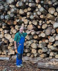 A simple search will usually give you several options to choose. Firewood Delivered Ludlow Tenbury Buy Kiln Dried Logs David Ward
