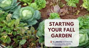Start Your Fall Garden Illinois