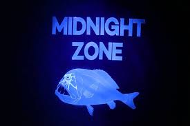 Image result for midnight zone creatures