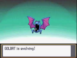 Pokemon Heart Gold Golbat Evolving To Crobat At Level 26