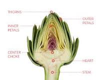 Are all parts of artichokes safe to eat?