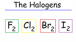 halogens you