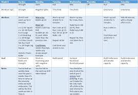 sprint triathlon training plan week 5