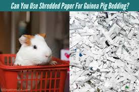 Shredded Paper For Guinea Pig Bedding