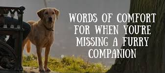 Check spelling or type a new query. Top 10 Loss Of Dog Poems Love Lives On