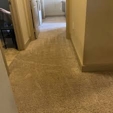 mr tiger carpet cleaning 10 photos