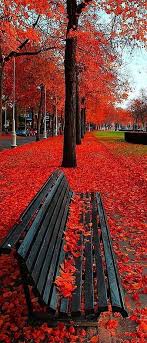 hd the most beautiful autumn wallpapers