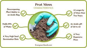 peat moss or straw for gr seed