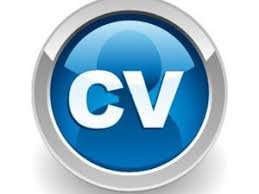 Total CVs   CV Writing Services 