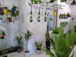Indoor Garden Decoration Plants Pots