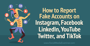 report fake accounts on insram