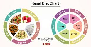 In dialysis 30 (58.8%) patients were the only treatment for dialysis. Diet Chart For Renal Patient Renal Diet Chart Lybrate