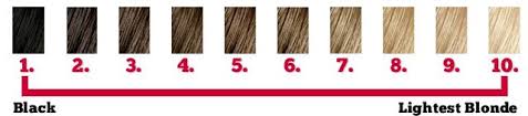A Hair Color Level Chart Ranging From 1 To 10 In 2019