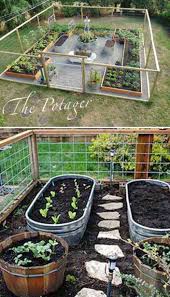62 affordable backyard vegetable garden