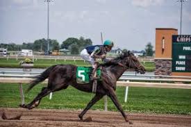 Indiana Grand Racing Casino Official Site