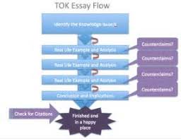             Do Now  Take out your TOK ESSAY     Do Now  Take out     i Biology Essay titles for ToK   May      pdf TOK essay titles preamble png