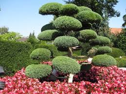 Japanese Garden Design Elements