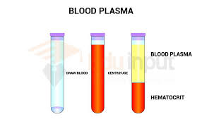 what is plasma features and its