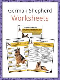 These playful, lovable german shepherd puppies grow into a powerful, intelligent, & protective dog breed. German Shepherd Facts Worksheets History For Kids