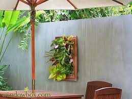 indoor living wall kit with traditional