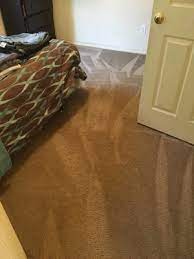 clarity carpet and upholstery cleaning