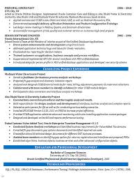 Software Consultant Resume Example Oracle Systems Financial