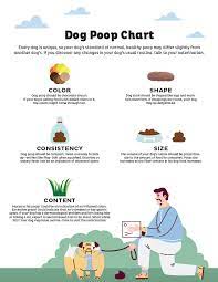 dog chart what is normal when
