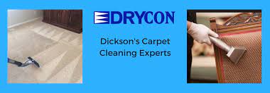 carpet cleaning son county tn