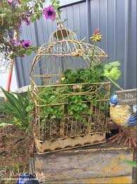 Old Bird Cage Garden Planter Nikki