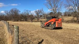 how much does forestry mulching cost
