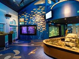 Roundhouse Aquarium Celebrates World Oceans Day With Sandcastles |  Manhattan Beach, CA Patch gambar png