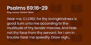 Psalms 69:16-29 KJV - Hear me, O LORD; for thy lovingkindness is good: turn  unto me according to the multitude of thy tender mercies.