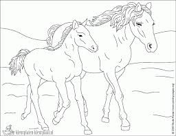 Kleurplaten van paarden op leukekleurplaten. Kleurplaten Paard Kleurplaten Kleurplaat Nl