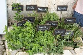 Free Stock Photo Of Herb Garden