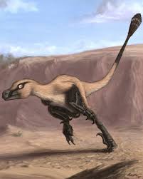 Velociraptor (/ v ɪ ˈ l ɒ s ɪ r æ p t ər /; New Dinosaur Exquisite Raptor Found